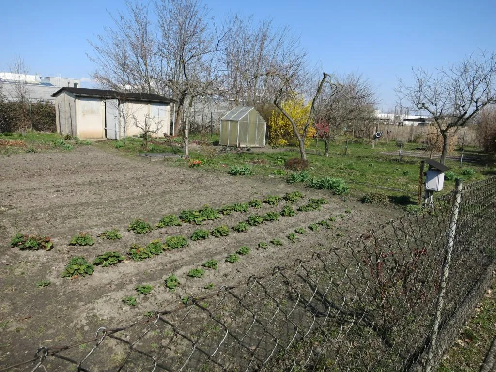 Pachtgarten