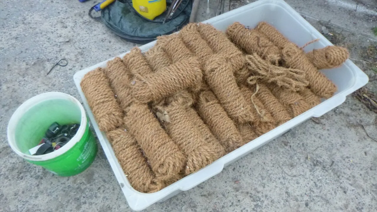 Kokosstrick Baumbefestigung